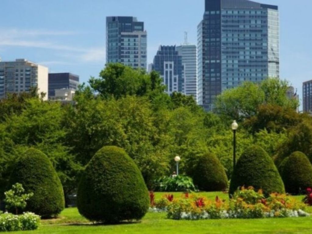 Boston Common