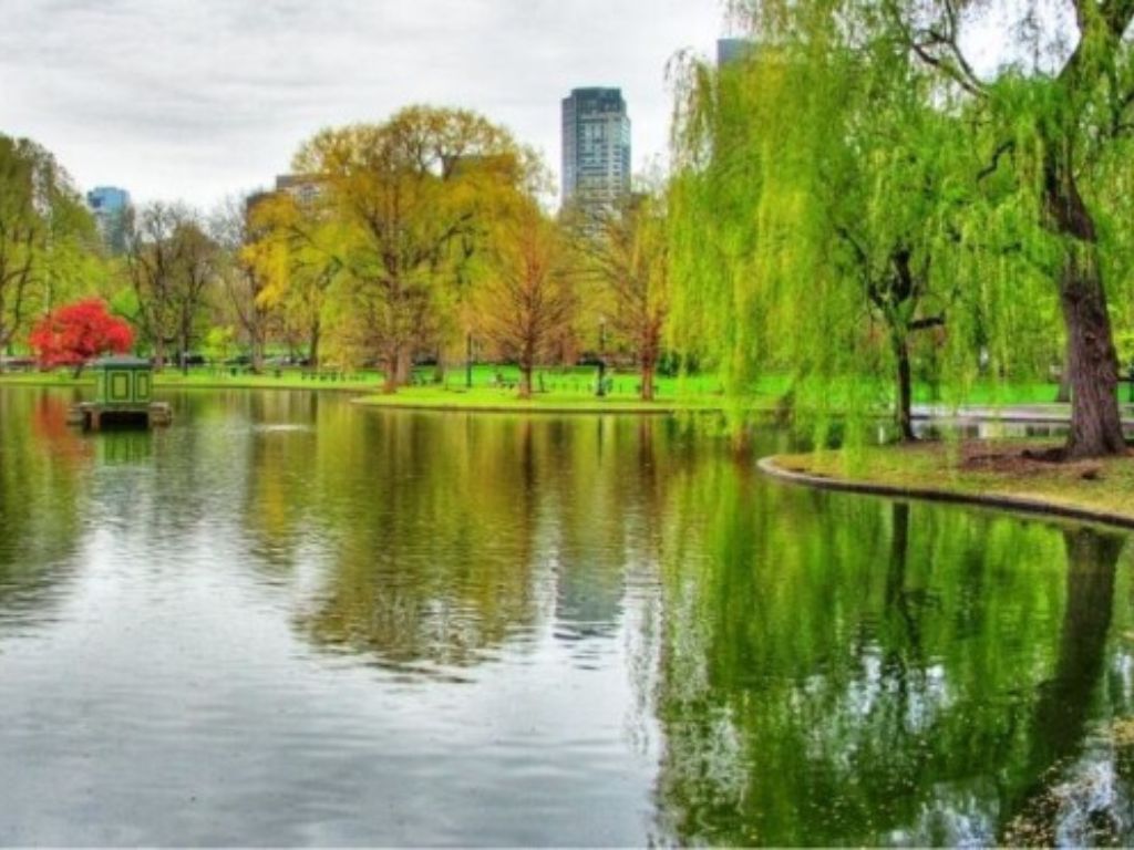 Boston Public Garden