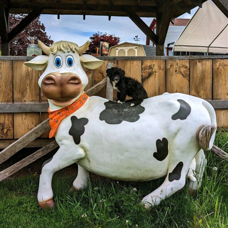 Stobs Farm Stowe Farm | Boston Kid City Guide