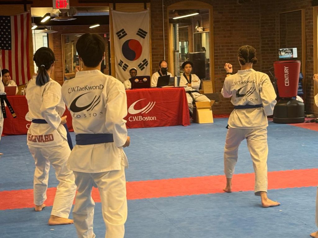 Cw Taekwondo 2